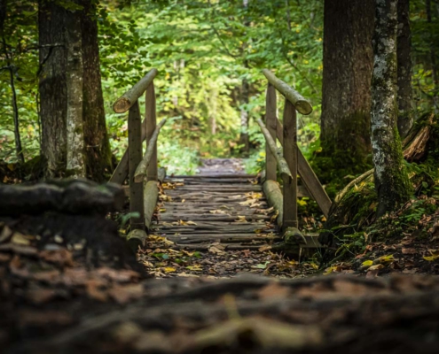 Brücke auf dem Ostertaltobelweg