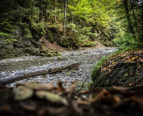 Bachlauf am Ostertaltobel
