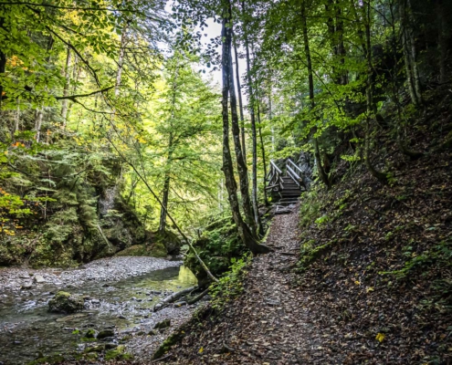Rundweg Ostertaltobel