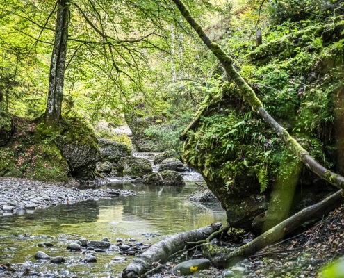 Wilde Landschaft Ostertaltobel